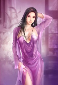 宫妃记